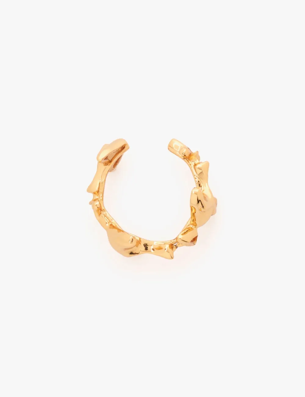 The Shroom Ring