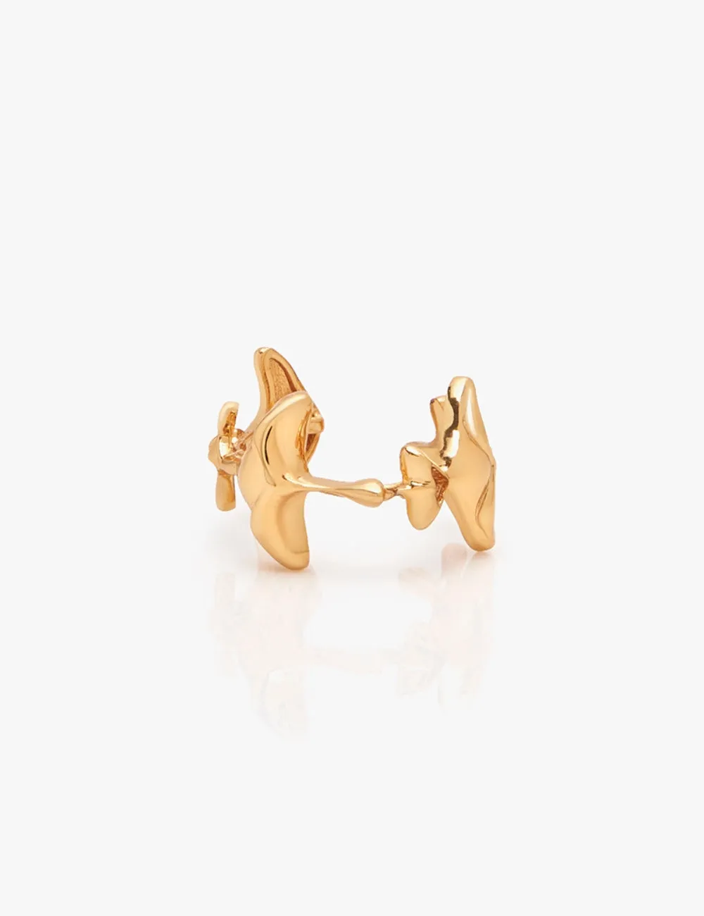 The Shroom Ring